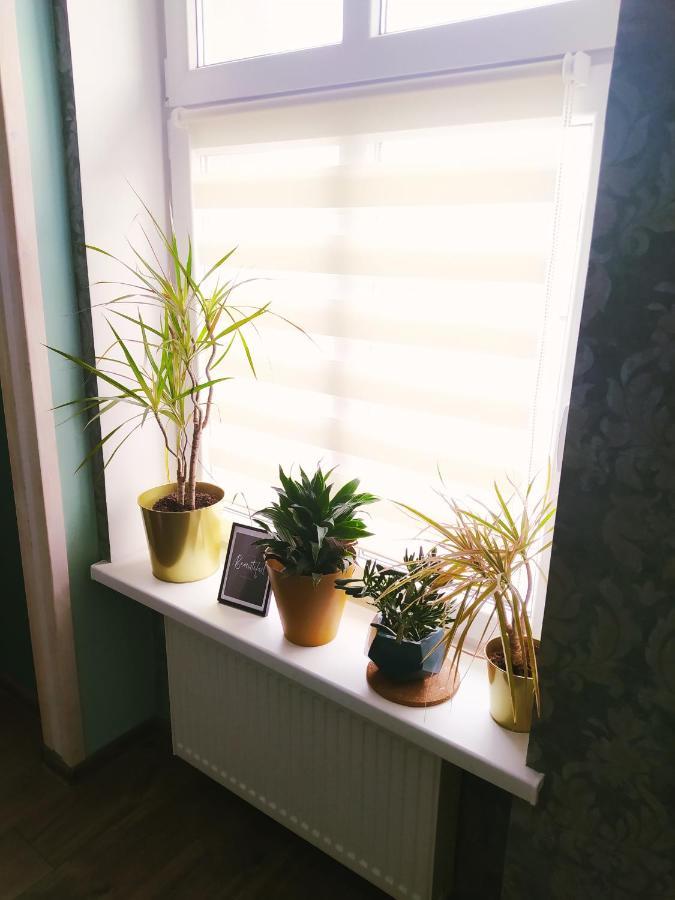 Apartament Santo Bartolomeo Stary Toruń 외부 사진